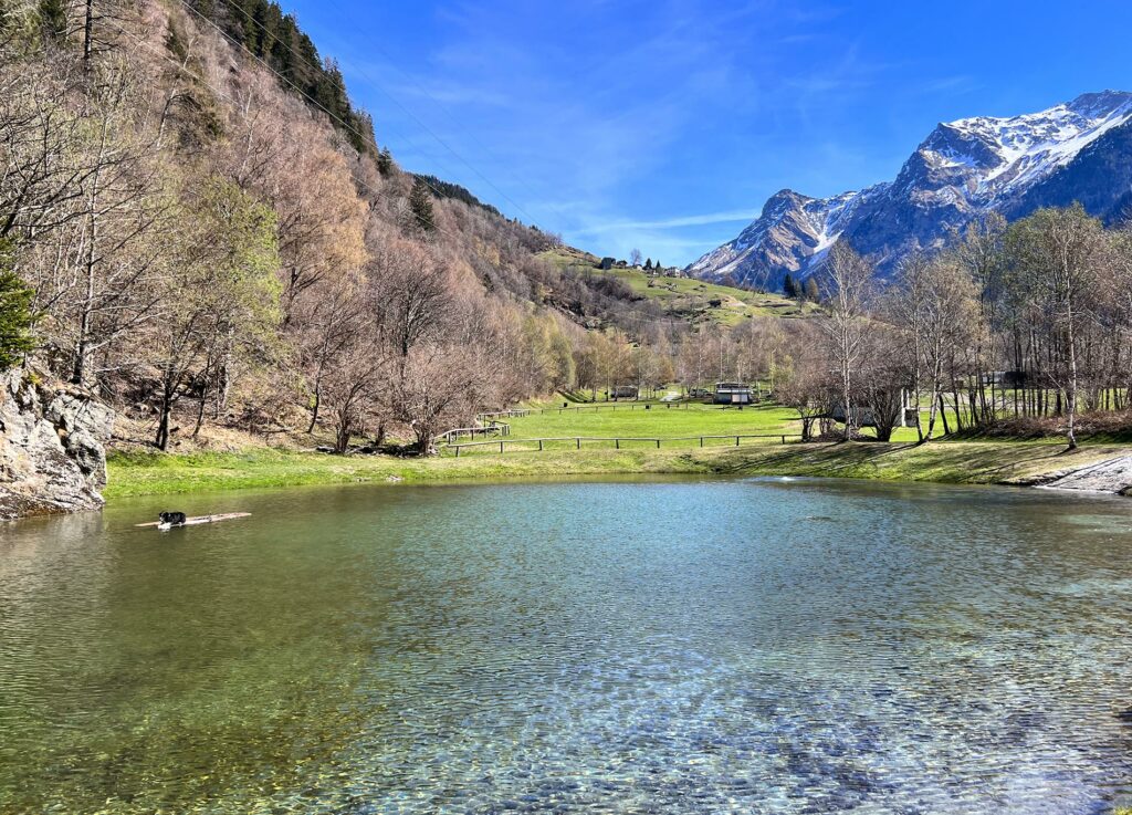 swimming lake at Camping Mulina